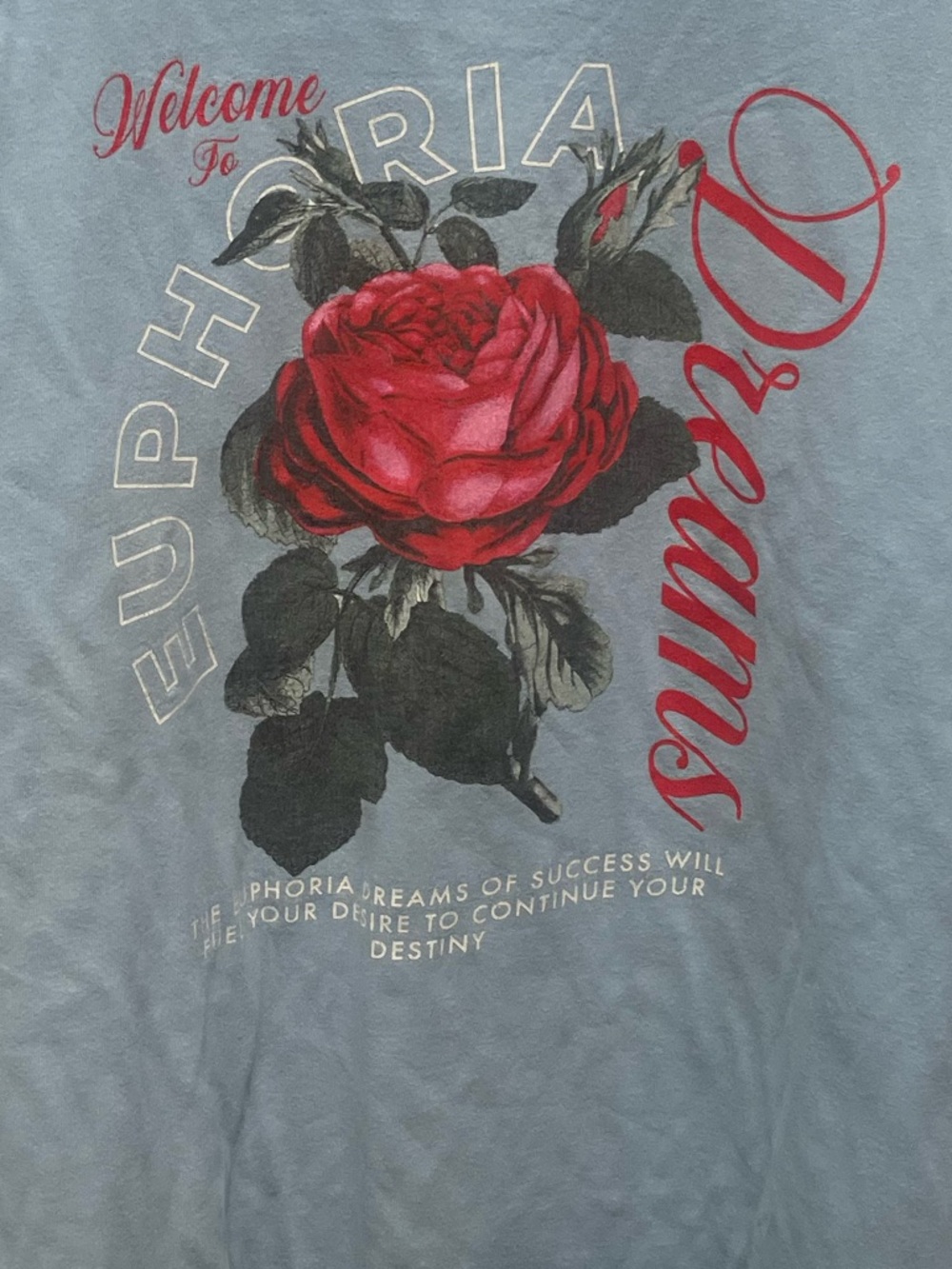PacSun Light Blue Long Sleeve Tee with Red Rose Graphic - Picture 6 of 8
